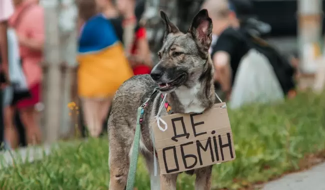 У Києві пройшла акція на підтримку родин військовополонених