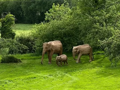 Жена Джонсона подарила ему на 60-летие гигантских деревянных слонов