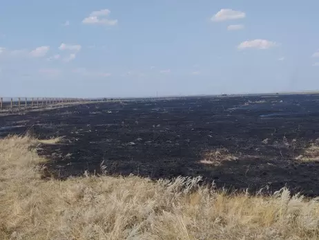 Директор «Аскания Нова»: За период оккупации в заповеднике выгорело более 7000 га степи