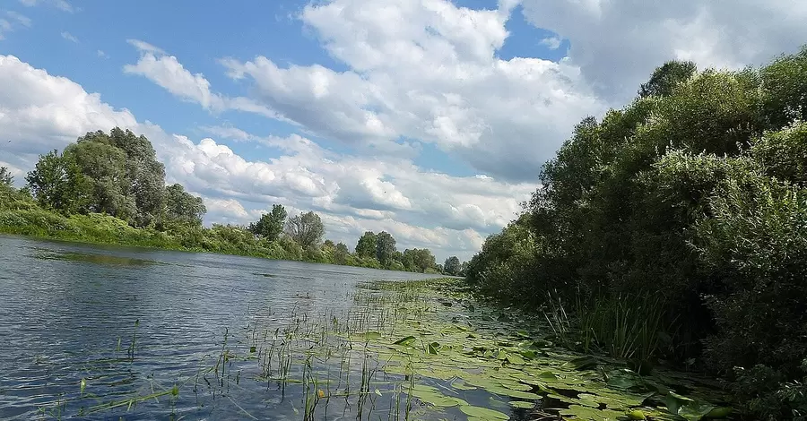 На Сумщине опасаются повторного загрязнения реки Сейм - качество воды ухудшилось