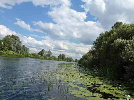 На Сумщині побоюються повторного забруднення річки Сейм – якість води погіршилась