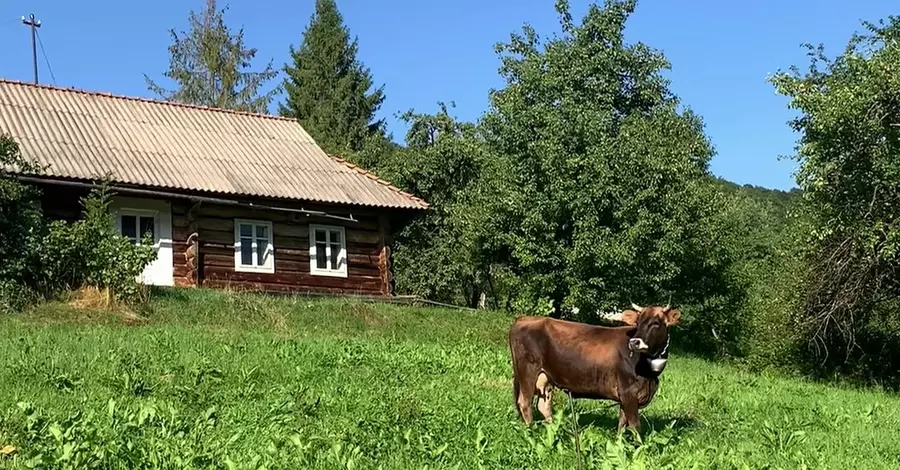 Недвижимость в Карпатах: «хатынка с печкой» за 5000 долларов и дворцы в ассортименте