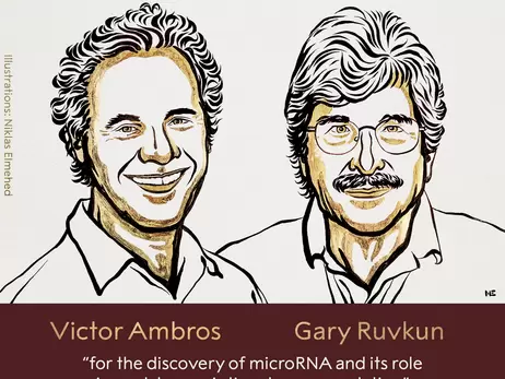 Нобелівку з медицини-2024 дали американським вченим за відкриття мікроРНК