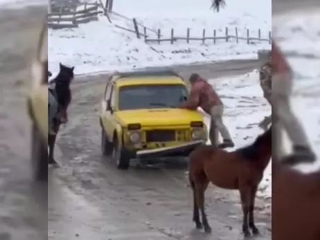 Жителі Буковини, які напали на співробітників ТЦК із сокирою, отримали понад три роки в'язниці