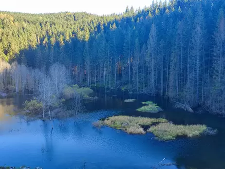 В Карпатах из-за вырубки леса образовалось искусственное озеро