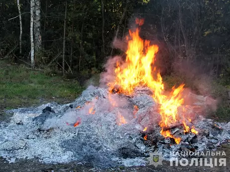 Житомирская полиция сожгла 60 кг амфетамина, опиума и марихуаны