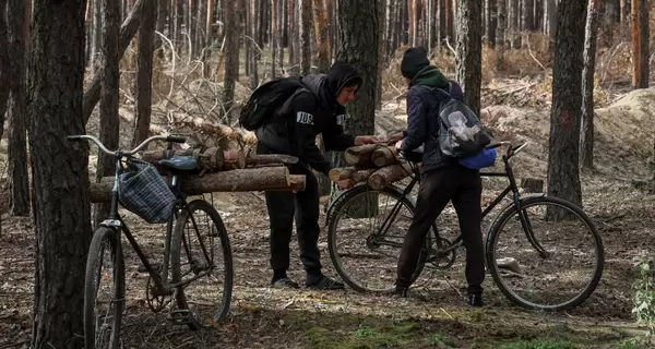 В «Слуге народа» опровергли, что «закон о дровах» требует документов на их хранение