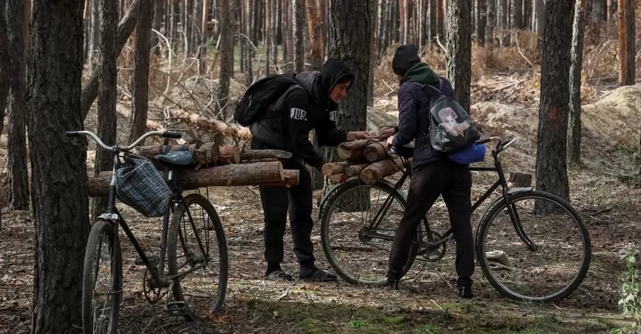 В «Слуге народа» опровергли, что «закон о дровах» требует документов на их хранение