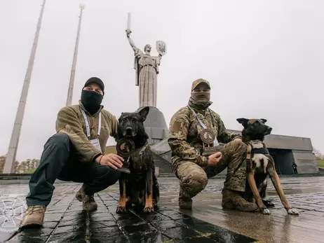 Службові собаки СБУ Рем та Фінч отримали нагороди за захист України