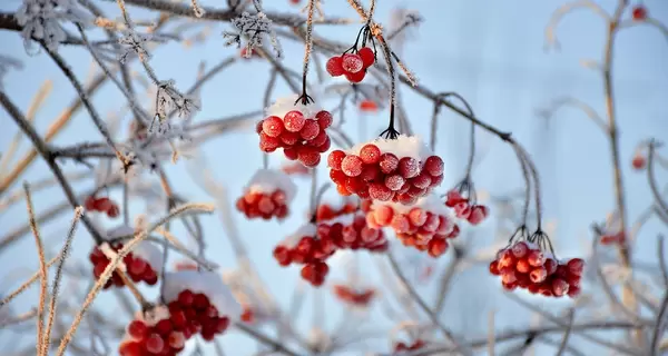 12 февраля - какой сегодня праздник и что нельзя сегодня делать, все об этом дне