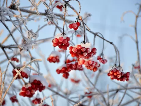 12 февраля - какой сегодня праздник и что нельзя сегодня делать, все об этом дне