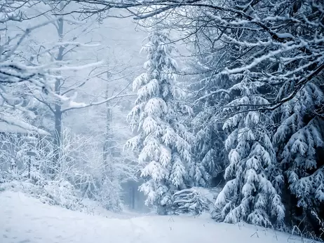 17 февраля – какой сегодня праздник, приметы и традиции, что сегодня нельзя делать