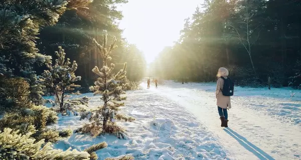 Морозне повітря: прогулянки при -10 зміцнять імунітет і спалять зайві калорії