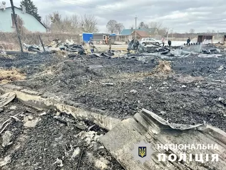 Під час дронової атаки на Київщині загинуло понад 40 свійських тварин