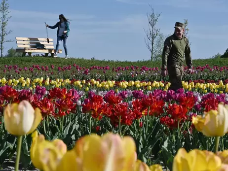 8 Марта в Украине: праздник становится все непопулярнее, но цветы дорожают 