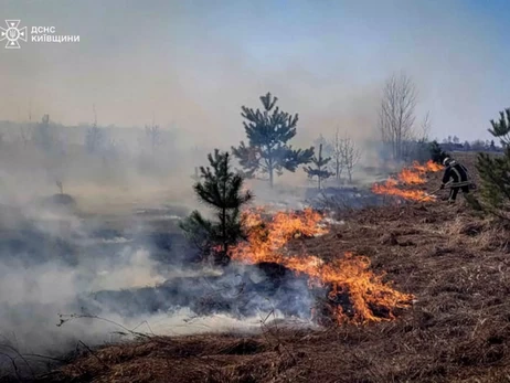 На Київщині бійці ДСНС врятували трьох дітей, яким загрожувала пожежа через випалювання сухостою