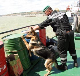 В Черном море создали заповедник 