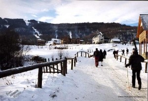 Отправляемся в новогоднее путешествие  