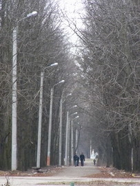 На Новых Домах стороной обходят частный сектор и парки 