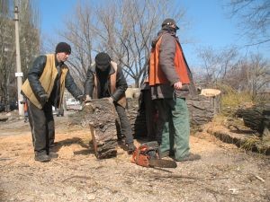 Город стоит на пороге большой чистки 