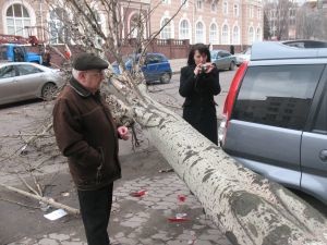 Вчера в Донецке бушевал ураган 