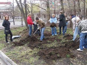 В этом месяце будет целых три общегородских субботника 