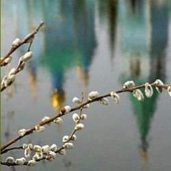 Сегодня – Вербное воскресенье  