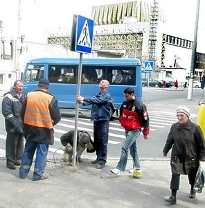 «Зебры» обновляются на дорогах 