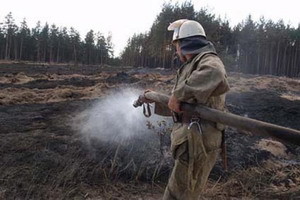 В области полыхают леса 