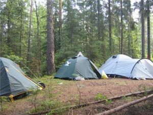 Вместо обычных лагерей детвора поедет в палаточные  