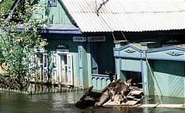 Спасатели эвакуируют жителей затопленного поселка  