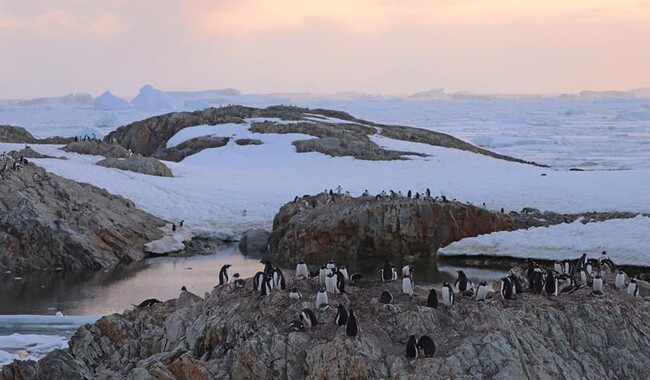 Фото: facebook.com/AntarcticCenter