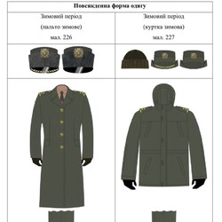 В настоящее время в Минобороны действуют стандарты, разработанные в 2017 году. Фото: t.me/annamaliar/626?single