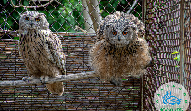 Фото: facebook.com/OdesskijZoopark