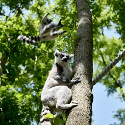 Фото: facebook.com/zoo.kyiv.ua