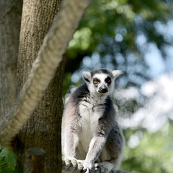 Фото: facebook.com/zoo.kyiv.ua