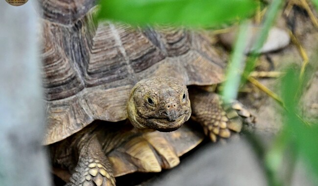 Фото: zoo.kyiv.ua