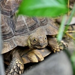 Фото: zoo.kyiv.ua