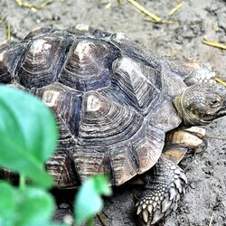 Фото: zoo.kyiv.ua