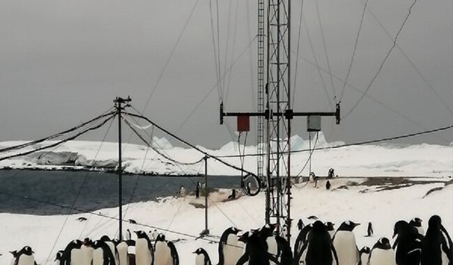 Фото: facebook.com/AntarcticCenter