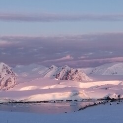 Фото: facebook.com/AntarcticCenter