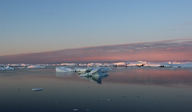 Фото: facebook.com/AntarcticCenter