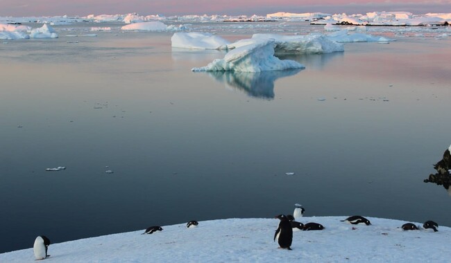 Фото: facebook.com/AntarcticCenter