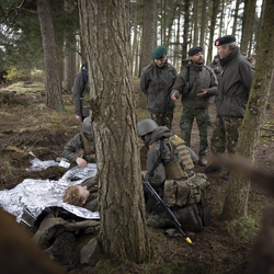 Фото: koninklijkhuis.nl/ Министерство обороны Нидерландов