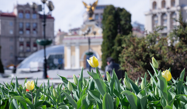 kyivcity.gov.ua