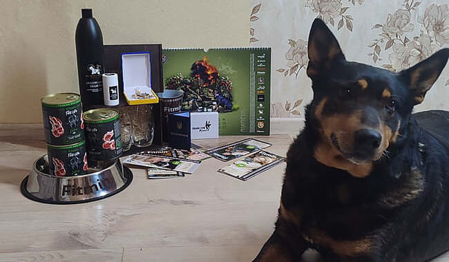 Жужа під обстрілами приносила їжу п`ятьом бійцям ЗСУ. Фото: facebook.com/groups/dogs.heroes.of.ukraine/